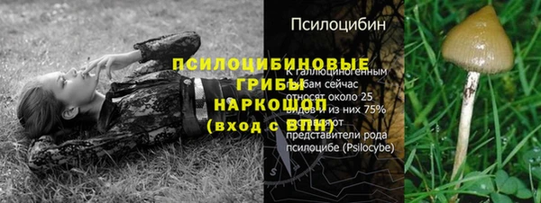 каннабис Абинск