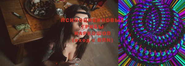 индика Абдулино
