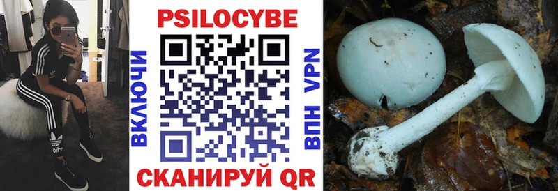 Псилоцибиновые грибы мухоморы  Мамадыш 